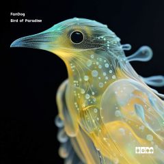 Bird of Paradise