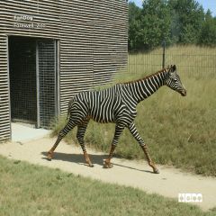 Farewell, Zoo